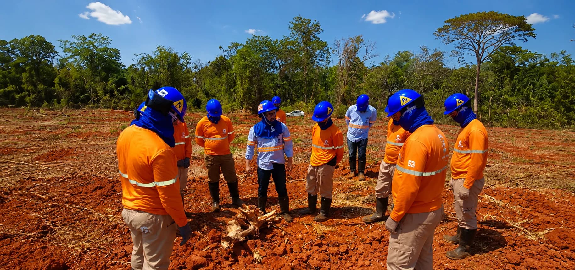 Equipe da Cerne Florestal reunida em treinamento de campo, ao redor de um toco de árvore