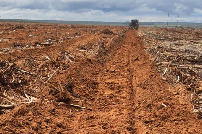 Sulco de subsolagem aberto em área de reforma florestal, com resíduo da colheita anterior nas entrelinhas e um trator ao fundo